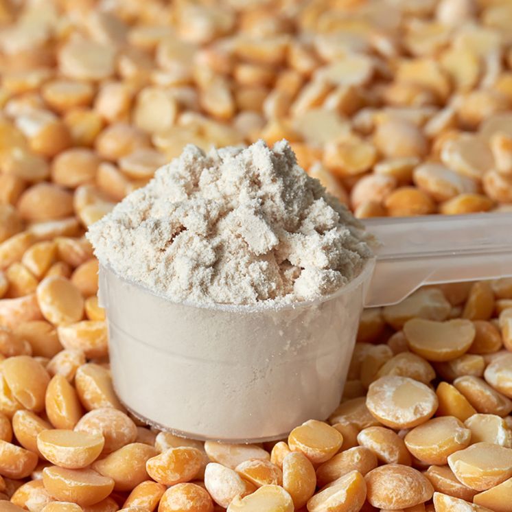 Proteină vegetală de mazăre Nuviline pură